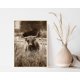 thumbnail image 5 of Póster de lienzo con diseño de botas y sombrero de vaquero del suroeste vintage, vaca de las Tierras Altas, paisaje rústico del oeste, imágenes de pared, decoración del hogar de granja, 5 of 5