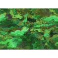 thumbnail image 1 of Ahgly Company Machine Washable Indoor Rectangle Transitional Dark Forest Green Area Rugs, 5' x 7', 1 of 7