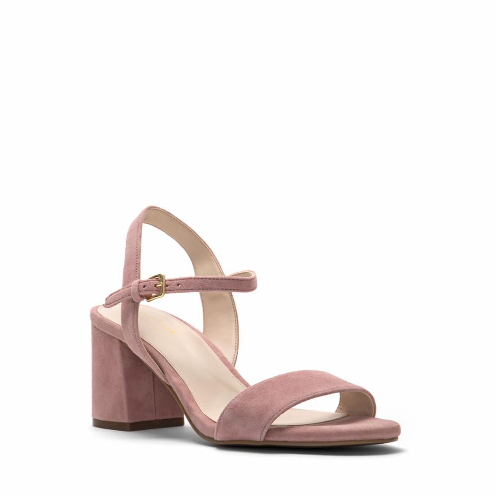 josie cole haan