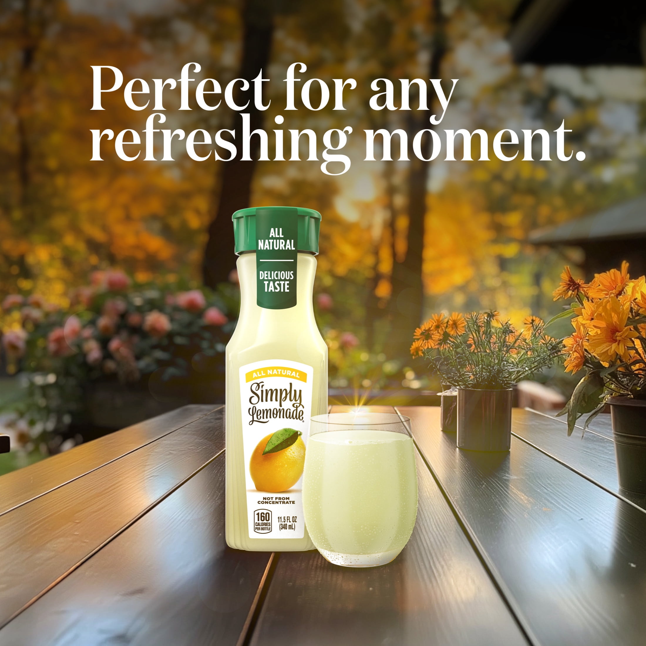 Simply Lemonade Bottle, 11.5 fl oz