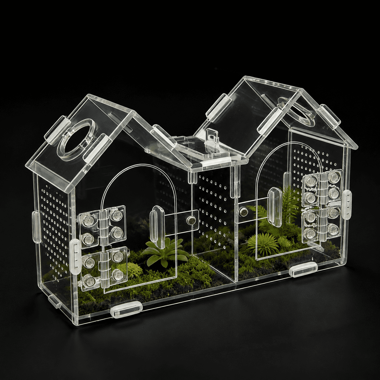 Dual-Zone Enabled Small Pet Terrarium Habitat with Partition Divider and Ventilation