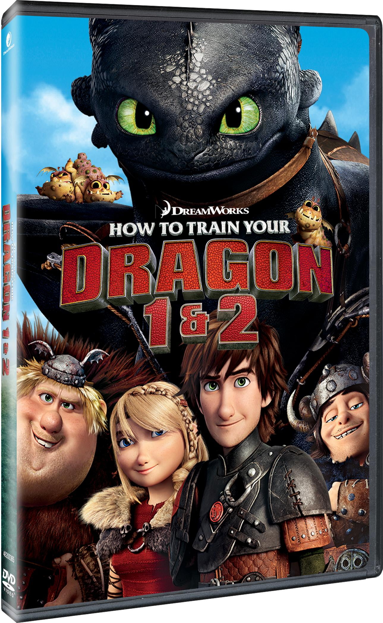 How to Train Your Dragon How to Train Your Dragon (DVD