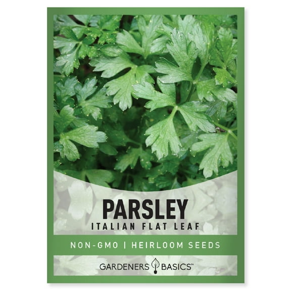Italian Flat Leaf Parsley Seeds