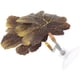 thumbnail image 5 of Tierra de desove de Betta, hoja de pez Betta, cama de descanso para cría de Betta para pecera, 5 of 6
