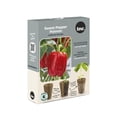 thumbnail image 1 of TASC Seed Plugs- Sweet Pepper (6/PKG), 1 of 1