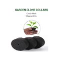 thumbnail image 3 of 70 piezas de Collares de clonación de jardín Yashi Bloque de Esponja para macetas de red 2 pulgadas, 3 of 5
