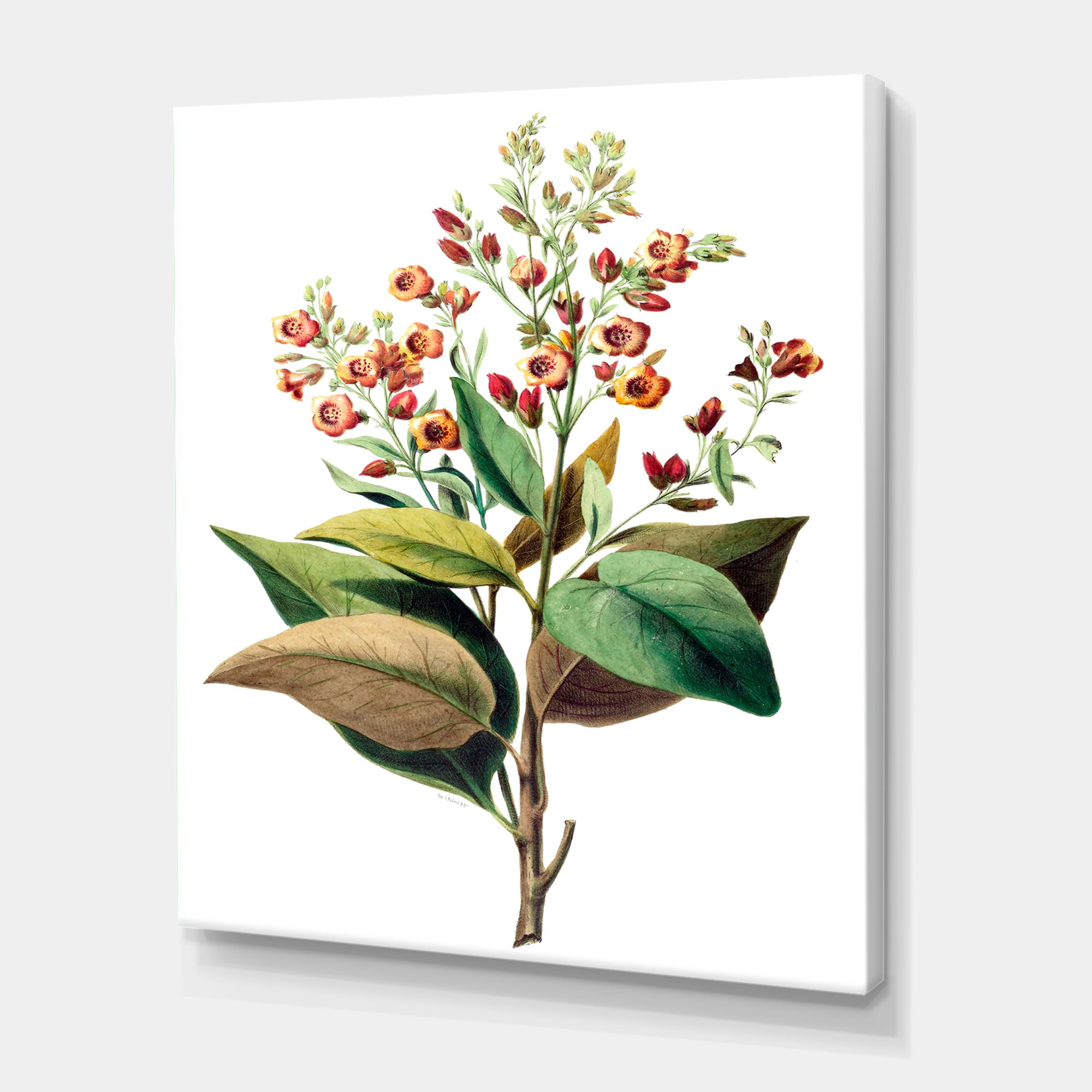American Vintage Flowers II 16 in x 32 in Painting Canvas Art Print, by Designart
