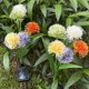 thumbnail image 5 of Solar Lawn Lamp Swaying Lights 5-Head Landscape Decorative Garden Lights Waterproof Outdoor Pathway Light for Yard Patio Pathway Lawn, 5 of 5