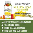 thumbnail image 2 of (2Pack)GPGP Mullein Leaf Gummies 2000mg, Respiratory System Health Support,Lung Cleansing & Detox, 60 Count, 2 of 7