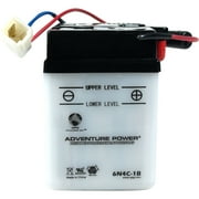 Conventional Battery