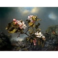 thumbnail image 2 of Heade, Martin Johnson 32x25 White Modern Wood Framed Museum Art Print Titled - Apple Blossom And Hummingbird, 2 of 4