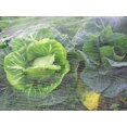 thumbnail image 4 of Filet de Protection Anti-Insectes, Filet d'Insectes de Potager, Maille Fine Anti-Insectes, 3 x 6 M, Note Blanche: les Données Sont Toutes Mesurées Manuellement, Veuillez Autoriser une Erreur de 1-3 Cm, en Raison de la Différence, 4 of 4