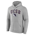 thumbnail image 2 of Men's Gray UC Santa Barbara Gauchos Campus Pullover Hoodie, 2 of 3