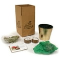 thumbnail image 3 of Van Zyverden Amaryllis Kit Minerva with Fluted Iron Faux Brass Finish Planter and 1 Bulb Pink Partial Sun Perennial Easy to Grow 3 lbs, 3 of 5
