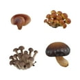 thumbnail image 3 of Juguete de simulación del ciclo de crecimiento de los hongos CUTICAT Material didáctico Hongos marrones, 3 of 8