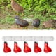 thumbnail image 1 of 5 piezas de s automáticos para pollos, tazas, , comederos, vasos de riego de plástico para gallinas, suministros para aves , 10x7.3cm Colco regaderas para aves de corral, 1 of 8