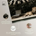 thumbnail image 4 of Art Remedy Retro Photography Canvas, 45" x 30", Gallery Wrapped, Luxe of the Jungle King, 4 of 7