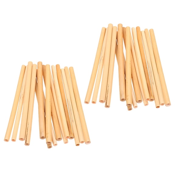 OULII 30 Pcs Tubes de Maisons de Roseaux Abeille Recharges d'Élevage de Canne Naturelle Jardins Parcs Design Compact