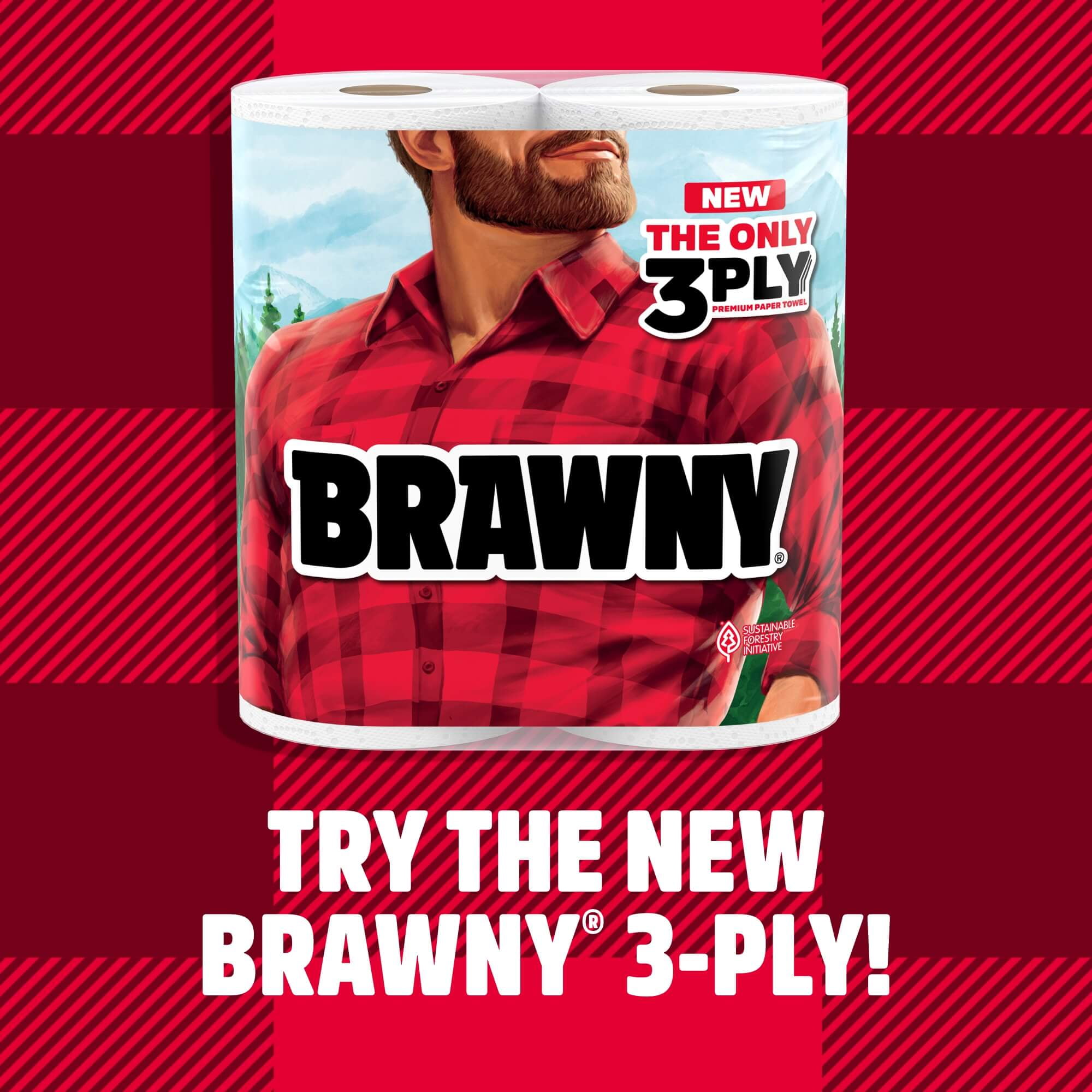 Brawny Tear-a-Square Paper Towels, 12 Double Rolls
