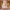 Jade Green, variant on Breathable Hanging Mosquito Net Top Hook Lace Bed Canopy Encrypted Mesh Round Dome Court Style Crib Canopy Bedroom Decoration