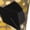 3 Black, variant on Graduation Hats3 print thigh-high socks, crafted for both men and women with a stretchy, high-opaque design perfect for daily wear