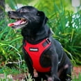 thumbnail image 5 of Voyager Step-In Lock Dog Harness & Reflective Leash Set w/ Neoprene Handle 6ft - For Small to Large Breed Dogs/ Cats, Cute & Heavy-Duty for Walking, Running & Training - Red Black Trim, M, 5 of 9