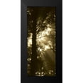 thumbnail image 2 of Berzel, Erin 8x14 Black Modern Framed Museum Art Print Titled - Sepia Shadows I, 2 of 5