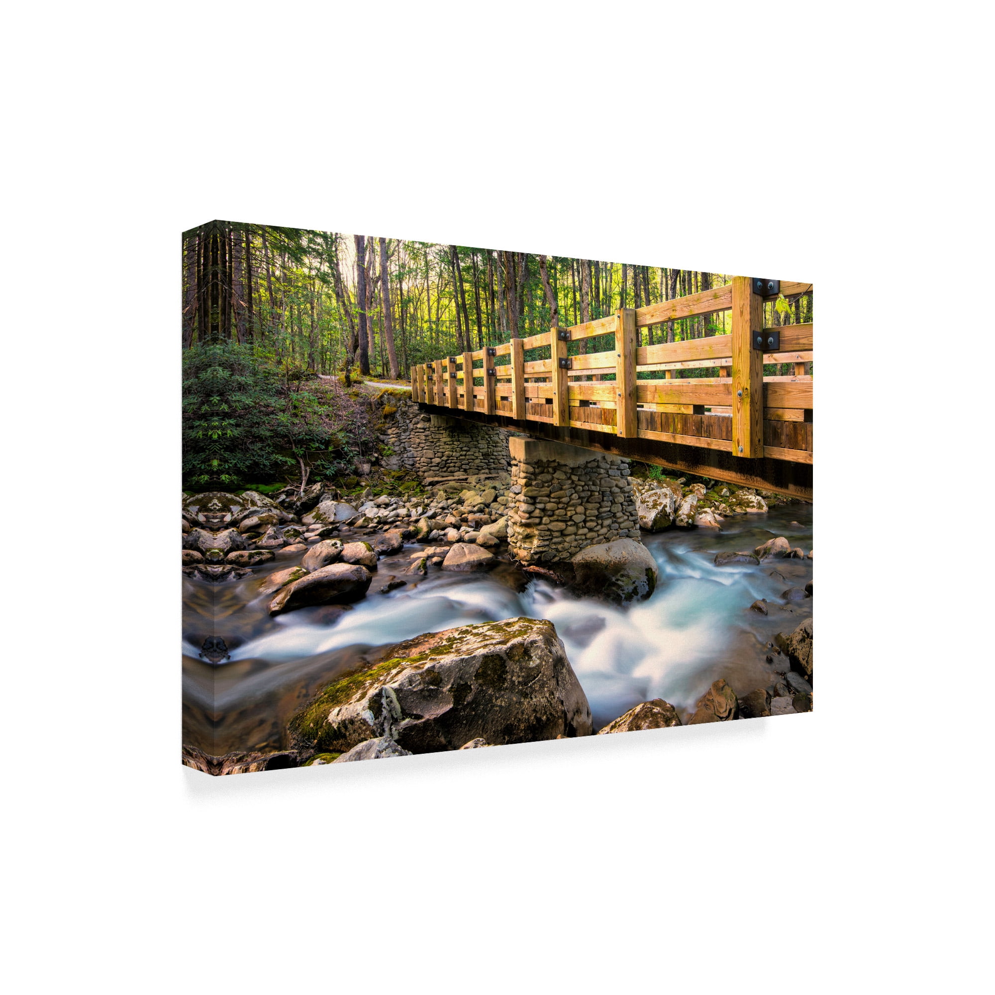 Trademark Fine Art 'Bridge and Cascade II' Canvas Art by Danny Head