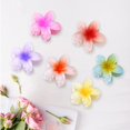 thumbnail image 2 of Pinzas para el cabello con flores hawaianas Frangipani 6 piezas color aleatorio JM, 2 of 4