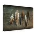 thumbnail image 4 of Trademark Fine Art 'Feather Collection I' Canvas Art by Sue Schlabach, 4 of 4