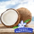 thumbnail image 4 of TropiClean Awapuhi & Coconut Pet , 1 Gal, 4 of 8