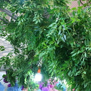Herbe artificielle feuilles branche plante feuille tige mur fond décor de mode