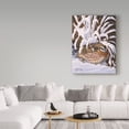 thumbnail image 3 of Trademark Fine Art Animals Canvas Art ' Hiding Quail ' by Wilhelm Goebel, 3 of 3