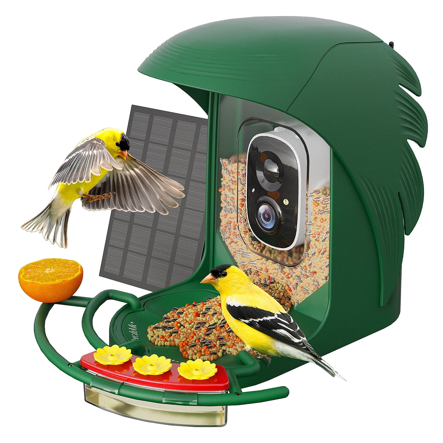 PerchMe AI-Recognition Smart Bird Feeder with Camera, Solar Powered (Forest Green), SF-BF-FG01