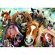 thumbnail image 1 of Taladro Diamante Pintura (DE3535) 5D DIY Kit de bordado de punto de cruz completo (Horse06) 20X30cm FLhrweasw Nuevo, 1 of 1