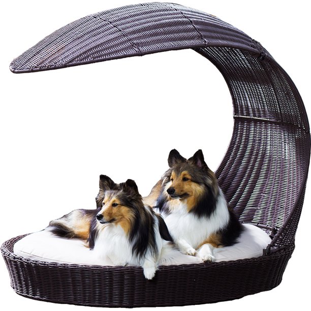 The Refined Canine, Outdoor Dog Chaise Lounger, Large, Espresso
