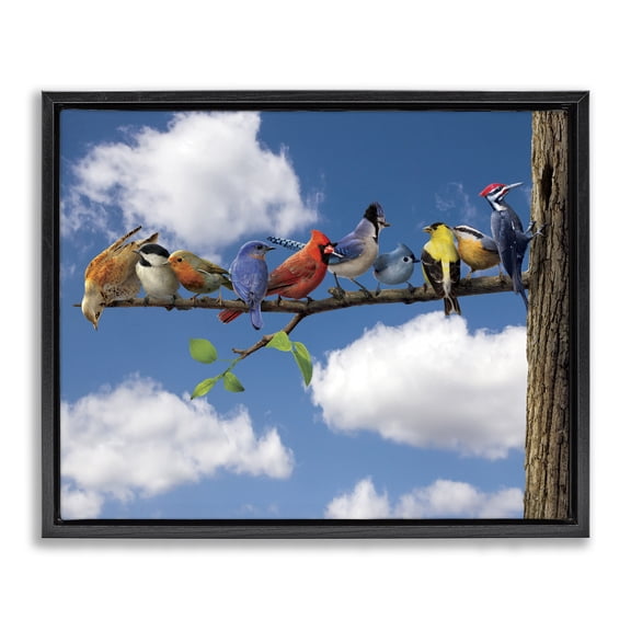 Stupell Industries Rustic Lodge Various Birds on Branch Black Floating Frame Canvas Art, 21 x 17, by Vincent Hie