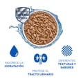 thumbnail image 4 of Alimento para Gato Cat Chow Pollo Gatitos 85 g, 4 of 7