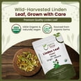 thumbnail image 2 of Organic Way Linden Flower & Leaf Herbal Tea Blossom & Culinary Use | European Wild-Harvest | Kosher & USDA Certified | Vegan, Non-GMO & Gluten Free | 100% Raw from Albania, 2 of 8
