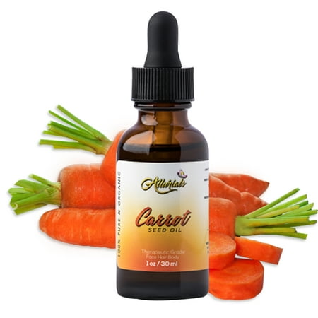 Carrot Seed Oil – 100% Pure, Unrefined, Cold Pressed, All Natural, Organic Daucus Carota - Therapeutic Grade Carrots Moisturizer Cream for Skin and Face Treatment and Hair Growth - 1 Oz by