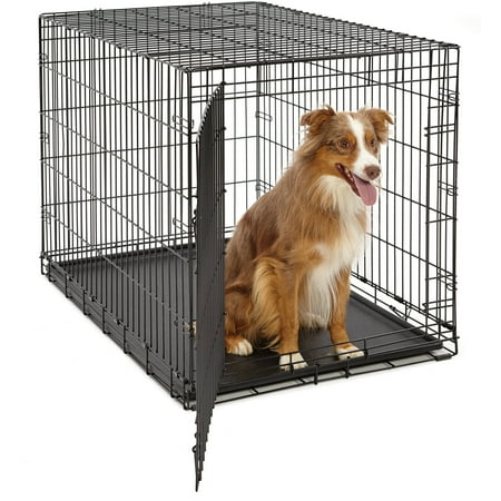 Midwest Life Stages Single-Door Folding Metal Dog Crate, 42 Inches by 28 Inches by 31 Inches
