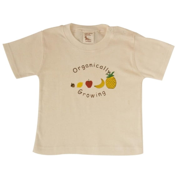 Organic Cotton Tees Short Sleeve - Lightweight Squirrel 1-2 year