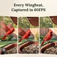 thumbnail image 4 of Birdfy Smart Bird Feeder with Camera, AI Identify & Easy Setup, Solar Powered Bird Feeder Camera, Ideal Gift for Entry-Level Bird Lovers, 2026 New Arrival, 4 of 13