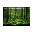 thumbnail image 1 of Qiilu Fish Tank Decoration Poster, Background Poster Backdrop Decoration Paper Colorful Waterproof Fish Tank Poster, PVC For Fish Tank Home, 1 of 8