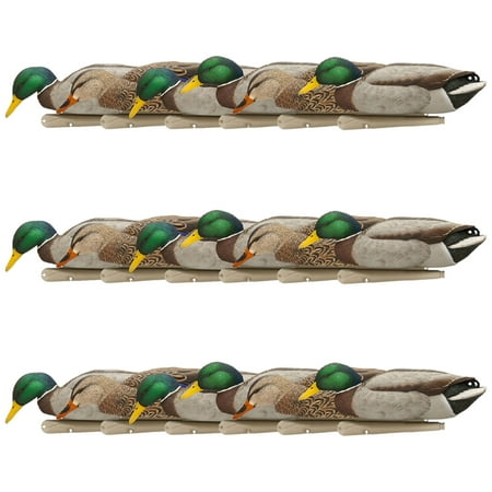 Avian X Topflight Backwater Mallards Decoys Realistic Floating 18 Pack