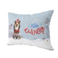 thumbnail image 2 of Hello Winter Shetland Sheepdog Smiling in Red Scarf Hat Welcome Christmas Pillow Cushion Double Sided Sheltie Dog Lover Gifts Throw Pillow - 00017, 2 of 4