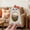 43#B, variant on Halloween Wooden Photo Frame, Cute Pumpkin Ghost Tabletop Picture Frame Foldable Stand Decorative Display, Halloween Decor for Tiered Tray Shelf Desk Pet Family Photos