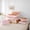Capybara 04, variant on Erosebridal Kids Kawaii Capybara With Fruit Orange Bedding Comforter Set 7 Pieces,Boys Girls Floral Cherry Blossoms Full Bedding SetPink Reversible