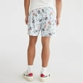 thumbnail image 2 of Men's Aeropostale 6-Inch Embroidered Mesh Shorts Color: Smoke Pine Size: L, 2 of 4