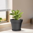 thumbnail image 2 of 5 Inch Plastic Plant Pots with Drainage Holes and Trays – 6 Pack Small Nursery Pots for Indoor & Outdoor House Plants and Flowers, Seedling Starter Planters, Matte Black, 2 of 7